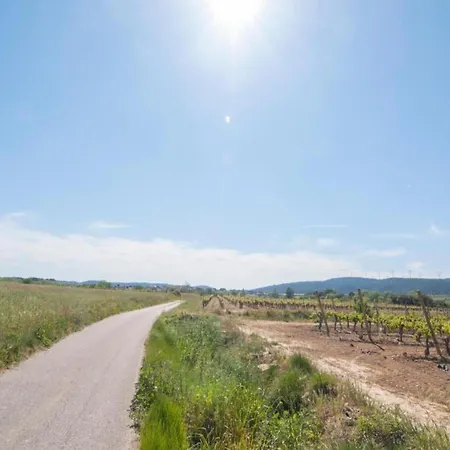 Sunny Escape To Serenity 别墅 Fraissé-des-Corbières